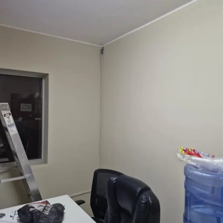 proyecto-Servicios de Pintura de Paredes en Lima-10